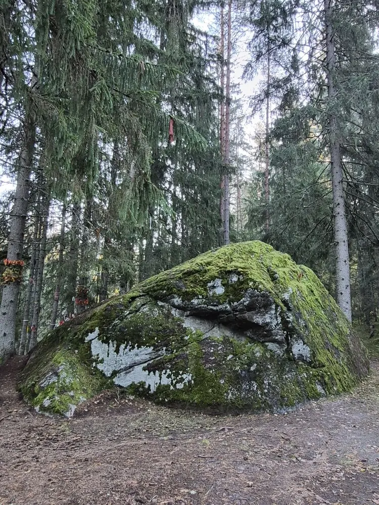 Камень Добряк в лесу под Псковом